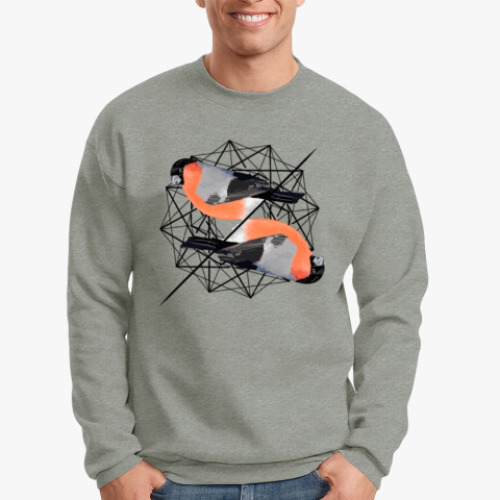 Свитшот с принтом Синички