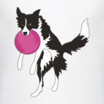 Бордер колли