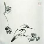Зимородок (Kingfisher)
