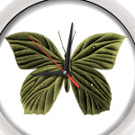 ЗОЛОТАЯ БАБОЧКА