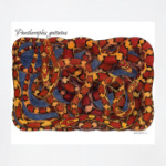 Маисовый полоз