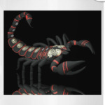 Чёрный скорпион