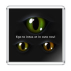  'Я вижу вас насквозь'