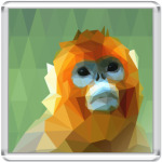 Обезьяна Синемордый Джо