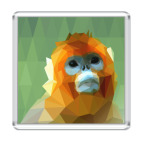 Обезьяна Синемордый Джо