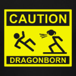Caution ! Dragonborn . Skyrim