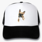 Кепки Trucker