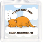 Пухлик-соня