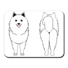 Два Самоеда