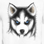 Сибирский хаски Siberian husky