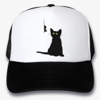 Кепки Trucker