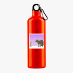 Металлическая бутылка 700 мл UV-DTF