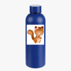 Термобутылка