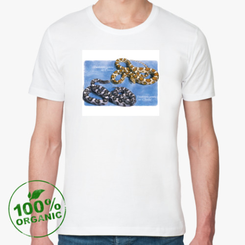 Футболка из органик-хлопка с принтом E.guttata caramel