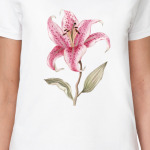 Тигровая лилия