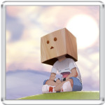 Картонная защита