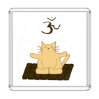 Медитирующий кот