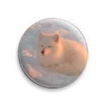 ПесеЦ