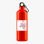 Металлическая бутылка 700 мл UV-DTF