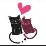 Котики