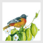 Серия: птицы