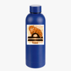 Термобутылка