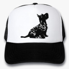 Кепки Trucker