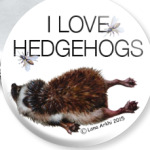 I love hedgehogs