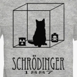 Кот Шрёдингера