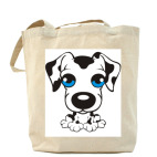 Холщовая сумка