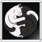 Черный и белый кот инь-ян