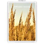 Осеннее настроение