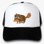 Кепки Trucker