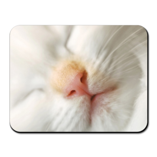 Коврик для мыши с принтом Кошка для мышки