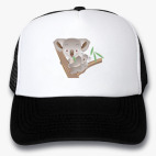 Кепки Trucker