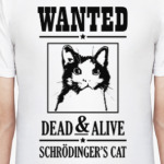 Кот Шрёдингера