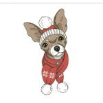 милый песик в шапке и шарфе