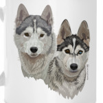 Хаски. Собаки.