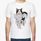 I LOVE CATS