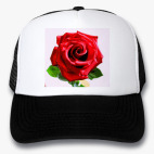 Кепки Trucker