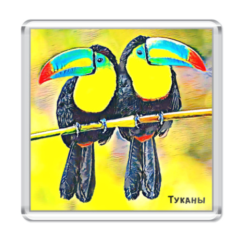 Магнит с принтом  Туканы