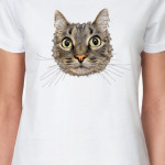 Забавный кот