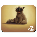 Сонный енот