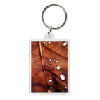 Капли дождя