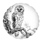 Сова на сосне