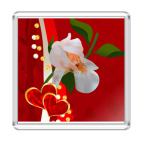 Сердце и Ирис