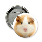 морская свинка