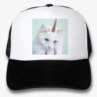 Кепки Trucker