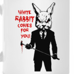 White Rabbit Comes For You !