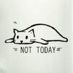 NOT TODAY / НЕ СЕГОДНЯ  / КОТ